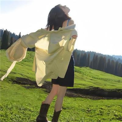 山上的松树