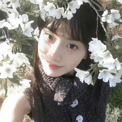 丝黛芬妮